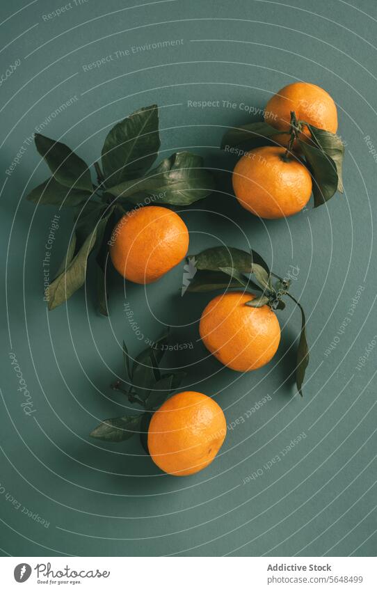 Oranges with Leaves on Cool Background tangerine leaf citrus fruit arrangement gray background calm fresh cool still life natural organic dietary healthy