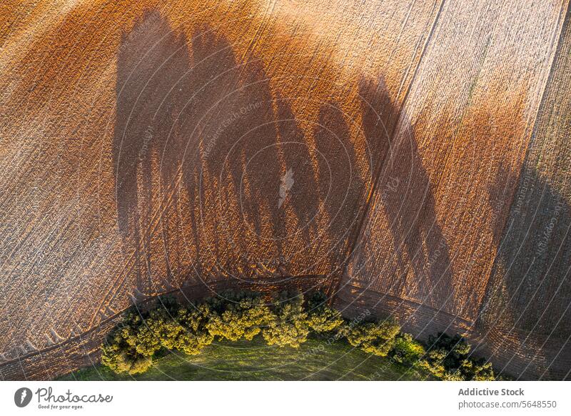 Aerial view of a textured agricultural landscape aerial rural shadow tree pattern field nature farmland crop earth topography geography outdoor scenery