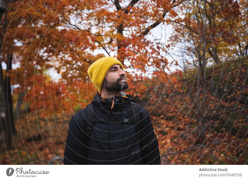 Confident man in warm clothes with cap standing in autumn park nature male cheerful portrait serious confident unshaven tree beard young appearance pensive