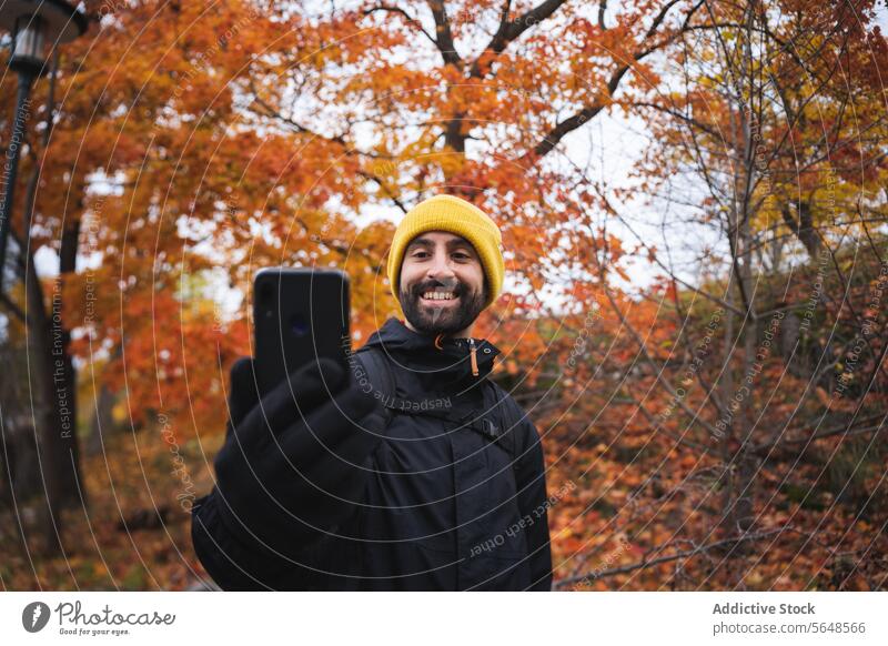 Cheerful bearded man video calling in park smartphone tree autumn nature male national park device mobile cheerful internet warm clothes casual connection