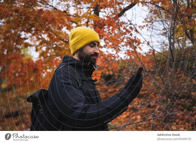 Bearded man in warm coat using mobile phone in autumn forest browsing smartphone park tree nature gadget warm clothes male device street beard young internet