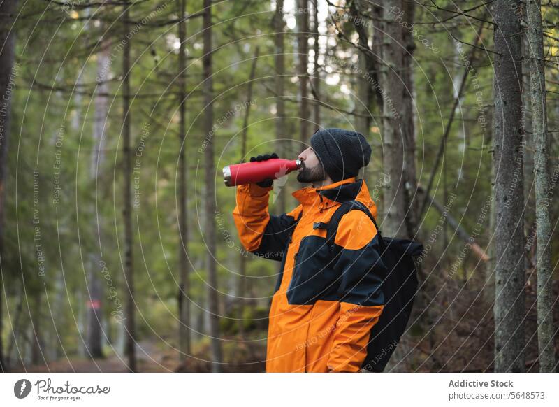 Male explorer in raincoat drinking water from bottle while in forest man hiker trekking park woods nature tourism traveler journey tall tree adventure