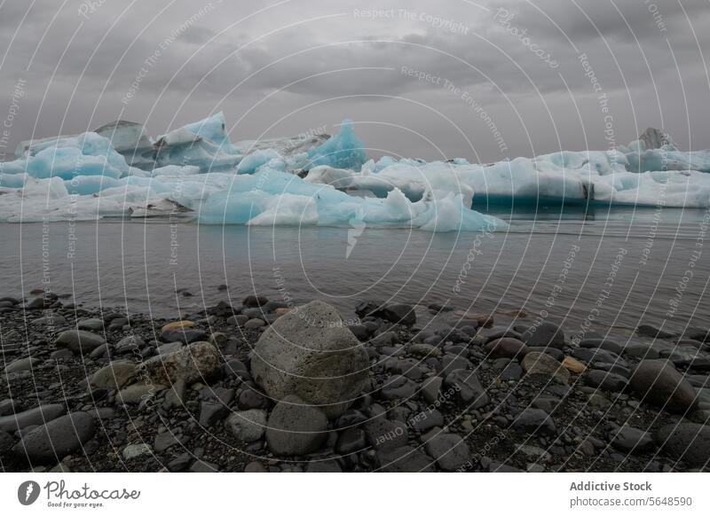 Icebergs float in a glacial lagoon under a cloudy sky with smooth pebbles in the foreground on the shore in Iceland iceberg landscape nature cold water outdoor