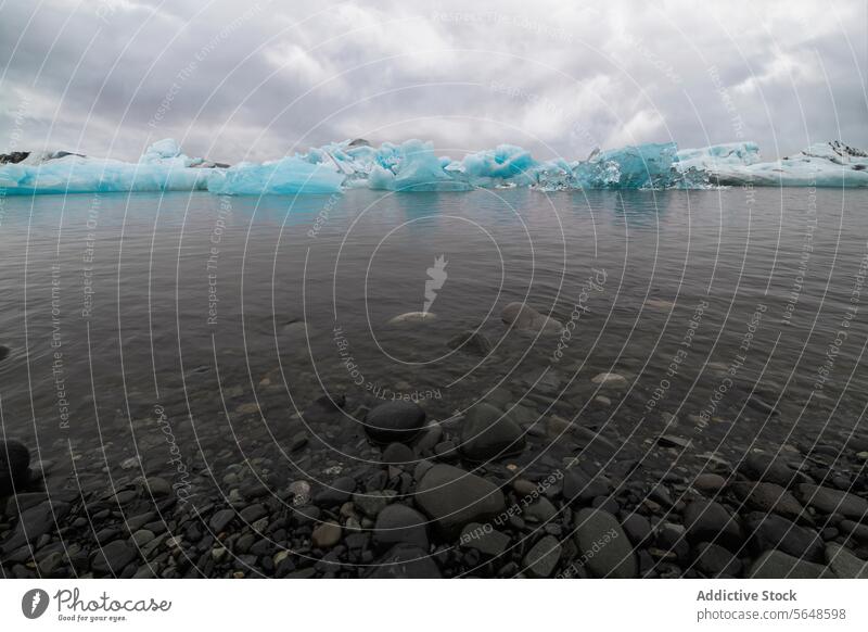 Icebergs float in a glacial lagoon under a cloudy sky with smooth pebbles in the foreground on the shore in Iceland iceberg landscape nature cold water outdoor