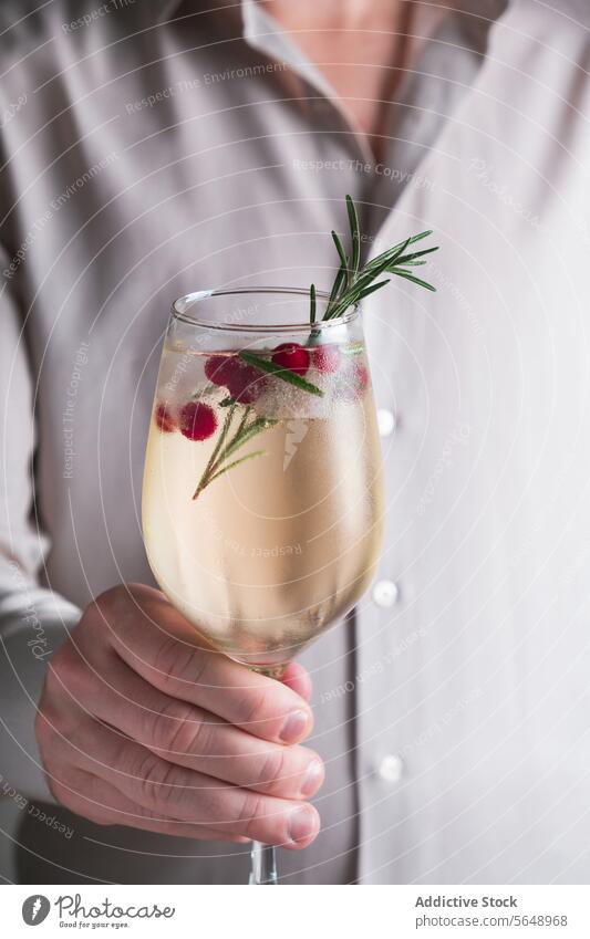 Elegant Rosemary Winter Cocktail with Berries rosemary cocktail winter cranberry garnish drink glass hand hold refreshment beverage alcoholic mixology elegant