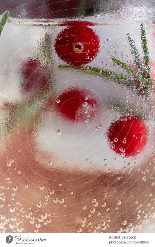Chilled rosemary and cranberry winter cocktail beverage drink close-up chilled fresh tangy glass ice condensation bubbles cold alcohol mixology refreshment
