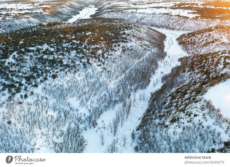 Winter Landscape Aerial View in Guadalajara, Spain aerial winter landscape guadalajara spain snow forest river tranquil nature scenery white seasonal cold
