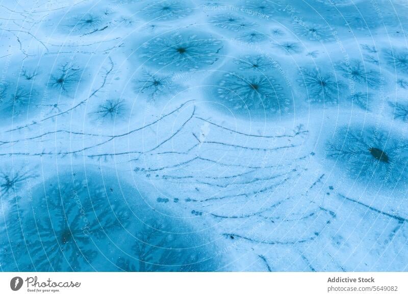 Intricate frost patterns on a frozen surface in Guadalajara ice nature close-up guadalajara spain winter texture natural cold blue abstract artistry beauty