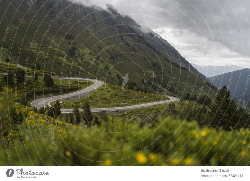Curve road in green mountains under cloudy sky Winding Road Mountain Green National Park Landscape Scenic Empty Nature Asphalt Route Spain Roadway Travel