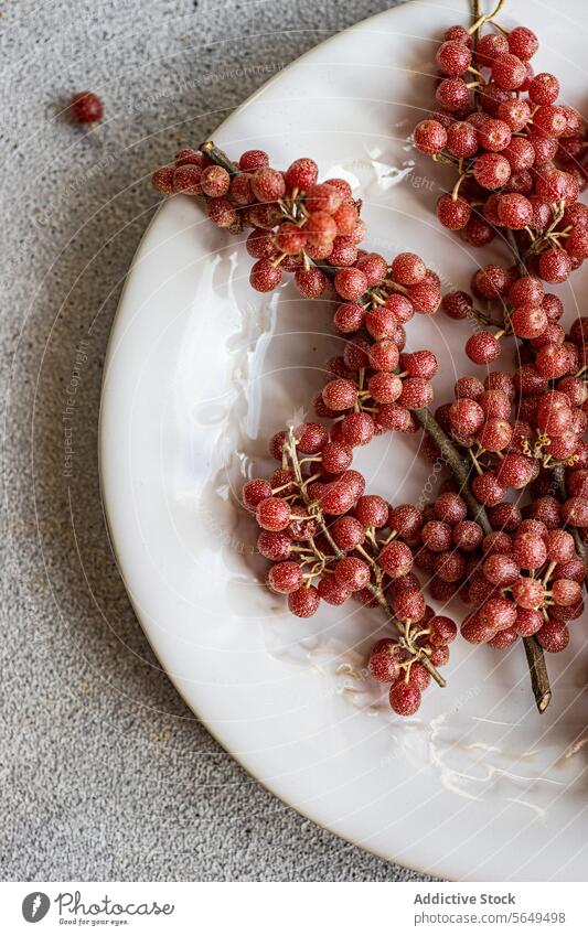 Buffaloberries on White Plate in concrete background Buffaloberry ceramic plate white scattered grey surface organic daylight soft natural fruit ripe fresh