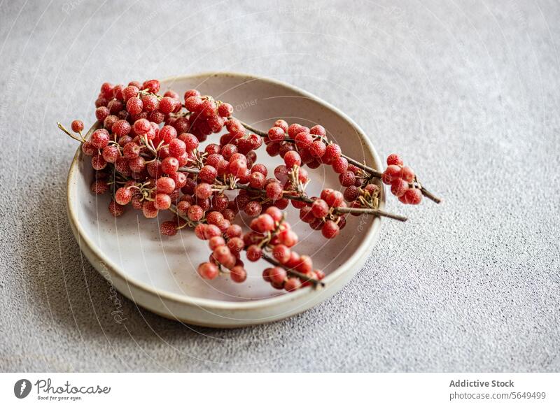 Sun-kissed Buffaloberries on Plate in concrete background Buffaloberry plate ceramic ripe cluster sunlit glow soft arrangement fruit organic red table daylight