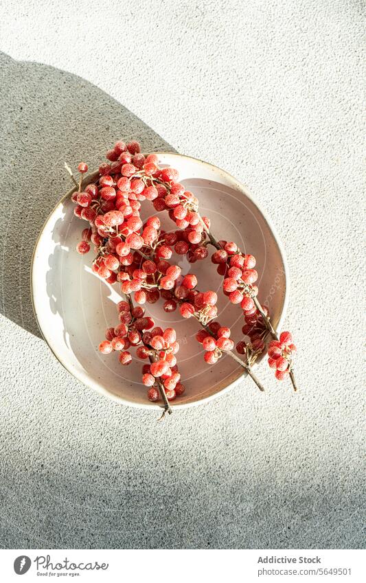 Sun-kissed Buffaloberries on Plate in concrete background Buffaloberry plate ceramic ripe cluster sunlit glow soft arrangement fruit organic red table daylight