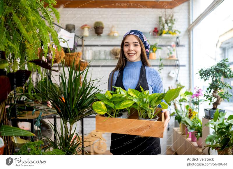 Young smiling woman with Epipremnum aureum in planter in floristry pothos money plant smile box work carry owner small business female fresh casual