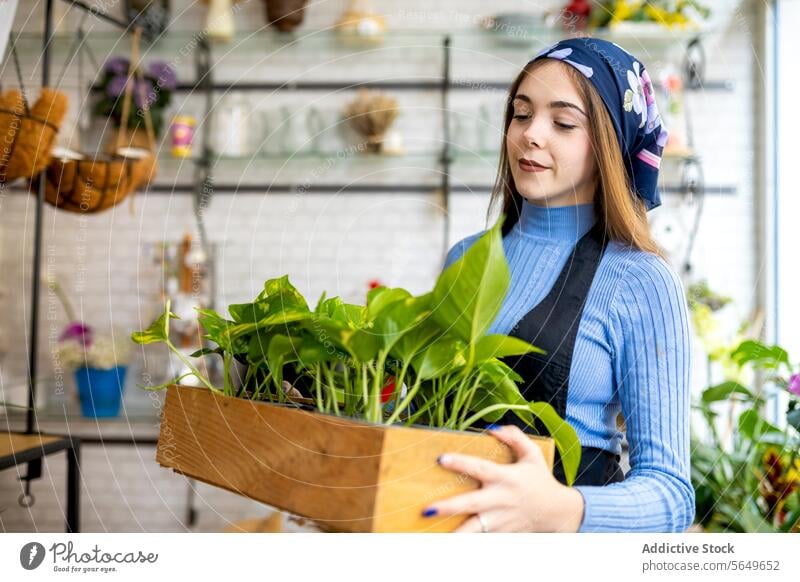 Young woman with Epipremnum aureum in planter in floristry pothos money plant box work carry owner small business female fresh casual epipremnum aureum wooden