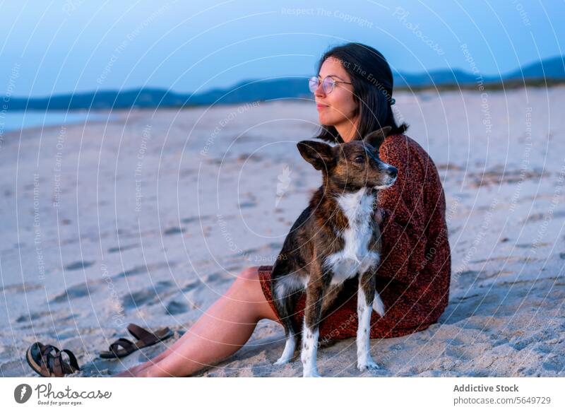 Woman with dog spending leisure time at beach tourist ocean serene vacation sunset sky side view woman casual attire sand obedient friendship admire sea water
