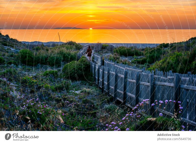 Woman enjoying vacation at beach during sunset traveler footpath walk woman seascape orange back view fence wooden beautiful sky casual attire plant water ocean