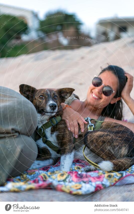 Woman with pet resting at beach tourist woman dog lying sand happy sunglasses adorable smile blanket relax vacation cheerful beautiful animal looking at camera