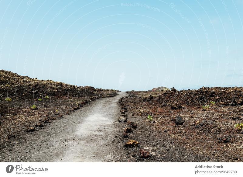 Path through Lanzarote volcanic field path terrain plant sky black landscape outdoor nature travel scenic barren arid wilderness trail trek adventure