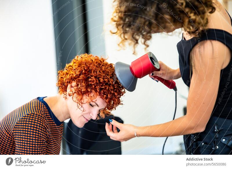 Hair Stylist Blow Drying Curly Red Hair at Salon salon hair salon hair stylist curly hair red hair blow dryer beauty client woman hairstyle hair care grooming