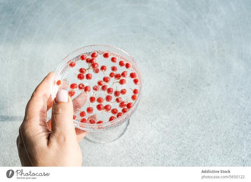 Elegant hand holding a glass plate with red berries berry shadow texture elegant transparent saucer delicate small cast surface presentation light sunny bright