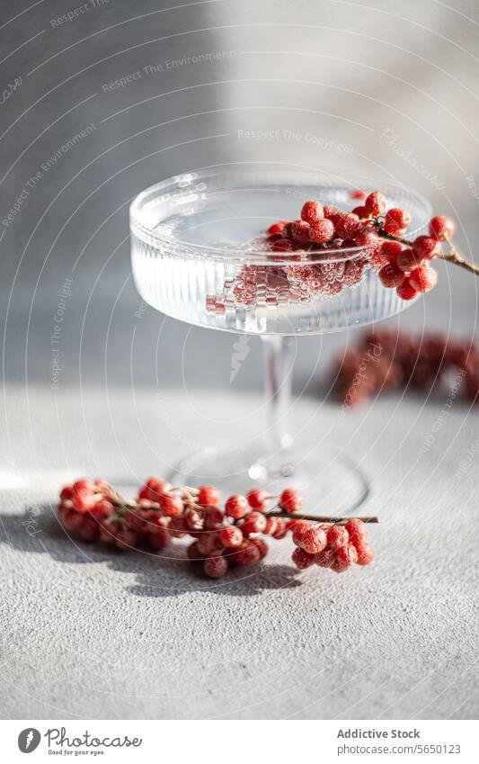 Elegant cocktail glass with decorative red berries berry beverage clear drink elegance sophistication sprig adornment texture surface light natural shadow