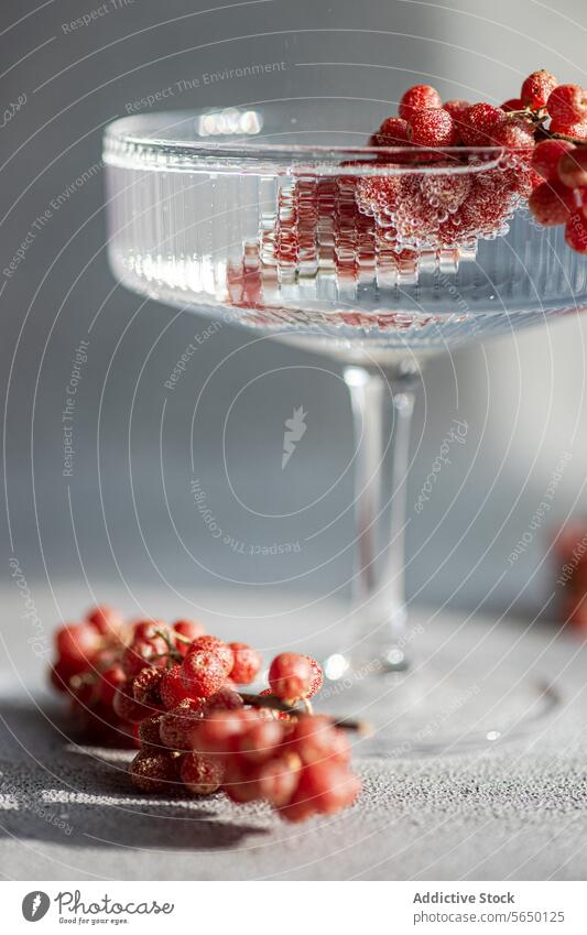 Elegant champagne glass adorned with red berries berry water elegance sophistication overflow delicate soft light background drink refreshment fruit adornment