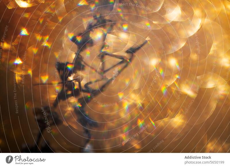 Abstract bokeh lights with prism effects abstract sparkle blur shape dreamy background composition shimmer luminous translucent defocused glare bright art