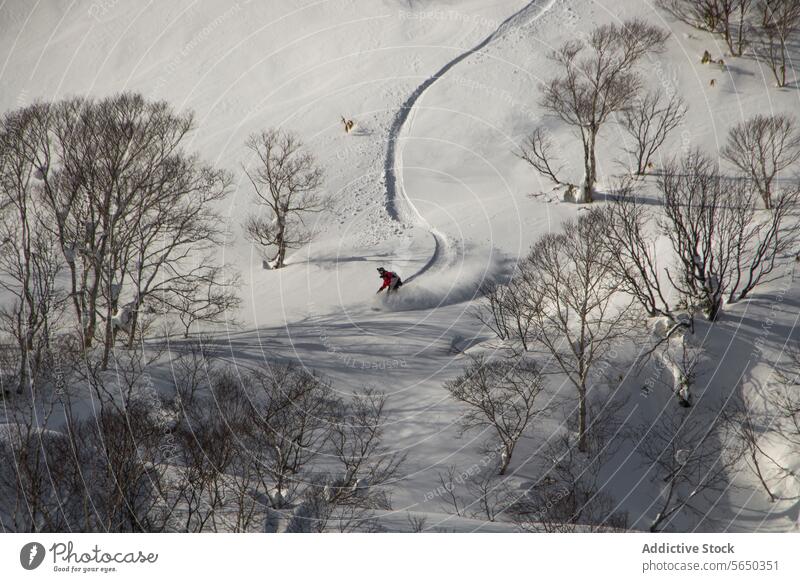 Active person riding snowboard on snowy landscape snowboarding tree winter holiday from above japan anonymous carefree active snowboarder mountain vacation