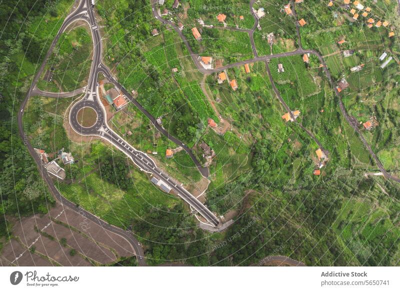 Aerial view of green village landscape house road plant tree farm field nature travel circle residential transportation grass town scenic summer beautiful