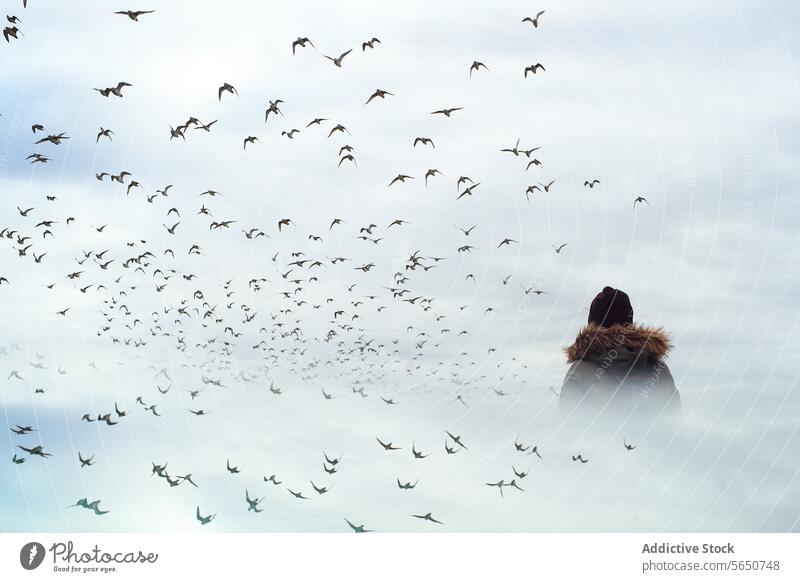 Unrecognizable Person in Solitude Amongst the Flock in Flight person mist birds sky flight solitude nature gazing flock motion outdoor tranquil reflection