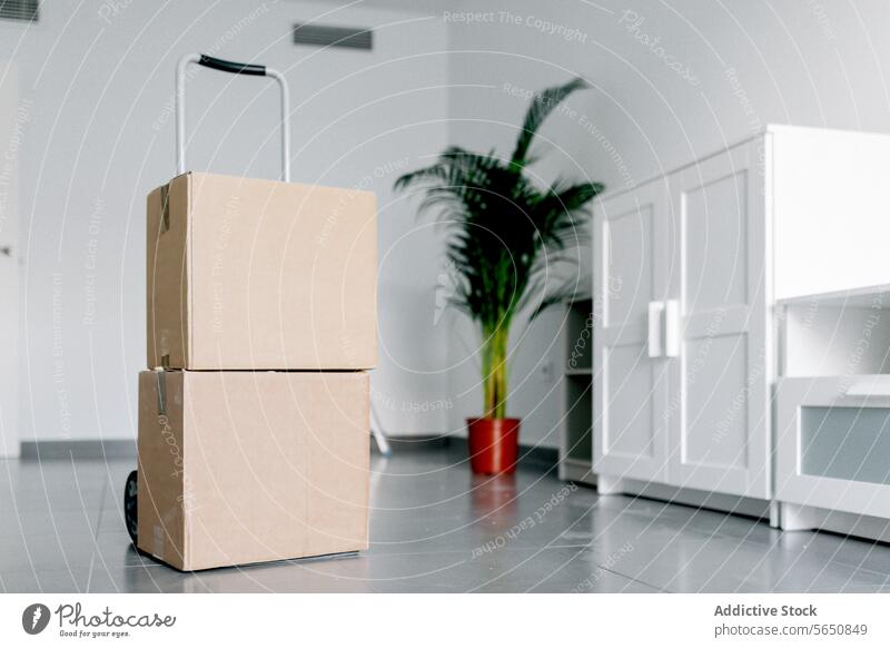 Interior of modern apartment with cardboard boxes move home cabinet estate new relocate room flat interior house rent residential property carton parcel package