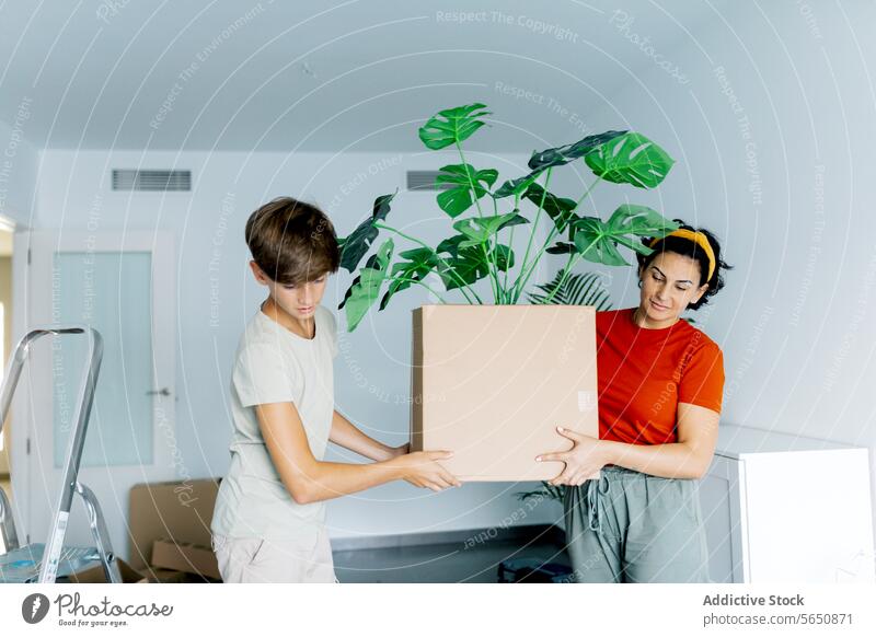 Mother and son carrying house plant in carton box mother positive mom smile home together pack relocate modern casual new woman package belonging happy domestic