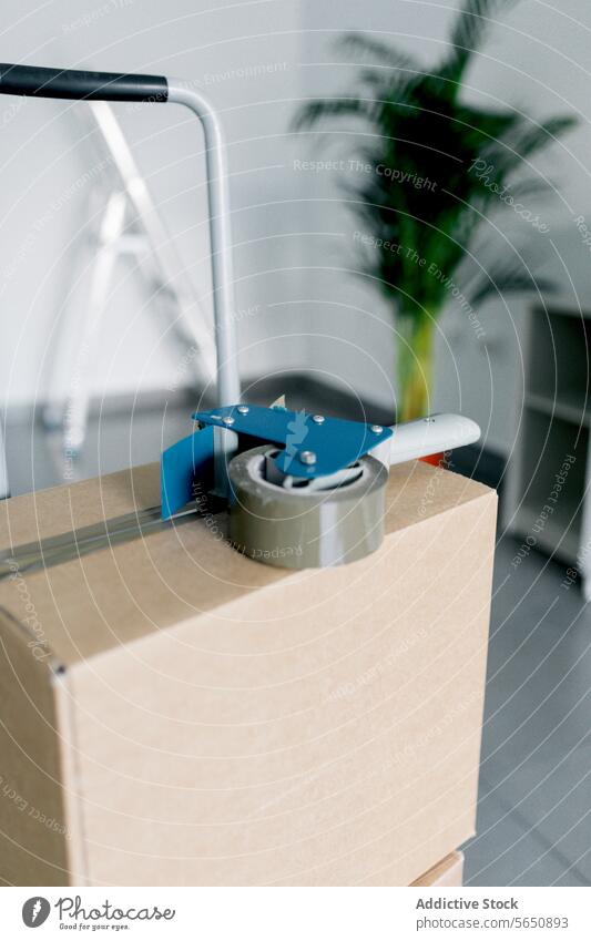 Tape dispenser on cardboard box in new home tape package carton apartment move in property house relocate delivery concept container estate residential