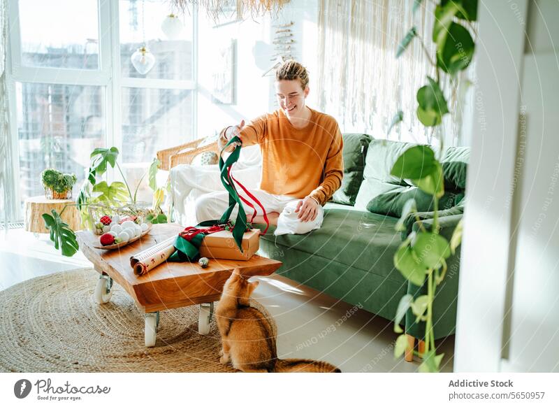 Young smiling woman sitting on sofa while playing with cat with green and red ribbon at home gift box happy plant smile present couch celebrate positive joy