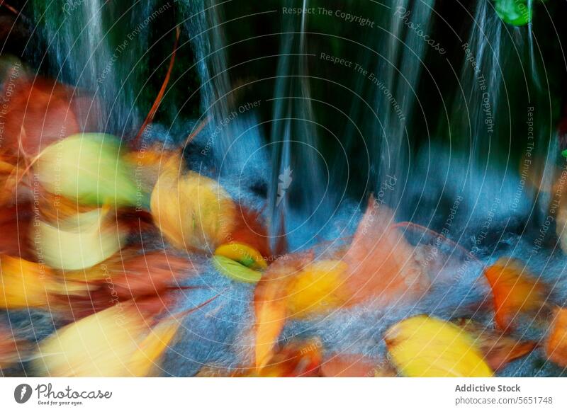 Autumn cascade with leaves blurred by water color motion tranquil setting nature seasonal fine art pictorialism flow stream movement vibrant yellow orange