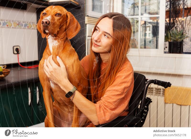 Young wheelchair user bonding with her dog at home woman kitchen disabled pet affection care companion accessibility indoor cozy female young adult animal