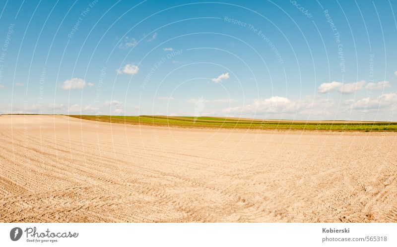After the harvest Food Grain Agriculture Farmer Earth Sand Sky Clouds Autumn Field Working in the fields Eating Natural Blue Brown Yellow Business Loneliness
