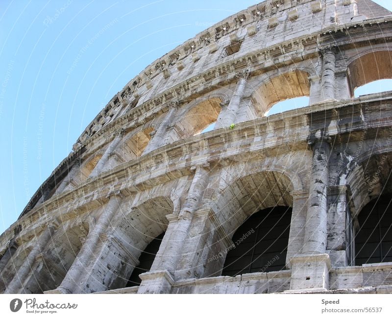 Fazination Colosseum Building Rome Italy Ancient Gladiator Historic Window Vacation & Travel Sky colloseum Old Stone Blue sky Past soon Römerberg