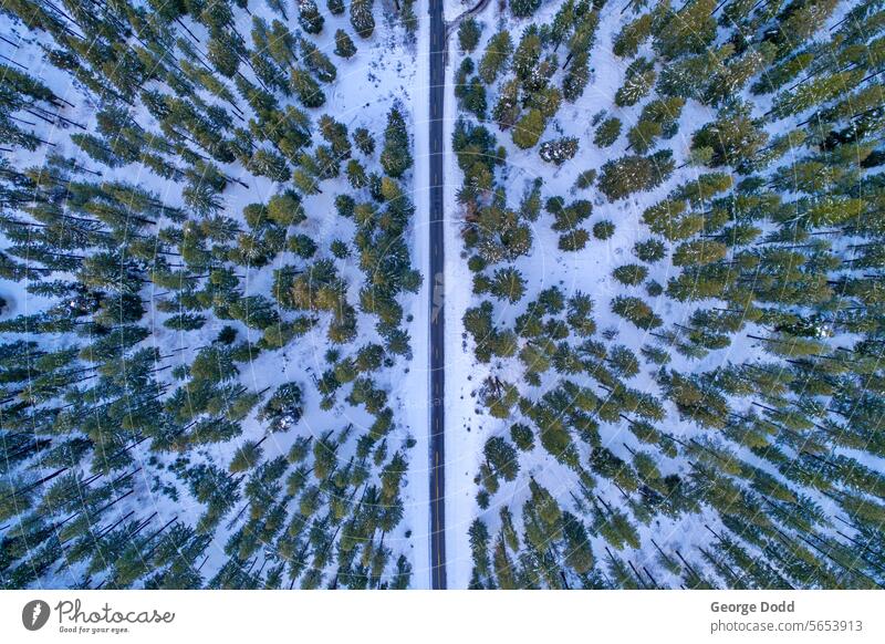 Aerial view of a single road in the winter forest aerial view cascades cascade mountains leavenworth washington washington state pacific northwest outdoors cold