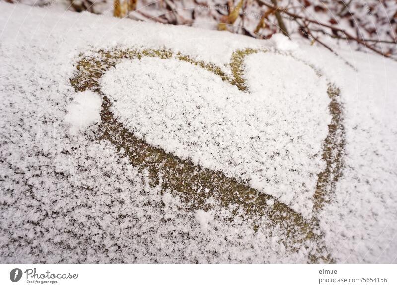 Heart painted in the snow on a lying tree trunk Snow Tree trunk Winter Climate Forest Love Woodground Declaration of love Climate change Spring fever Cold