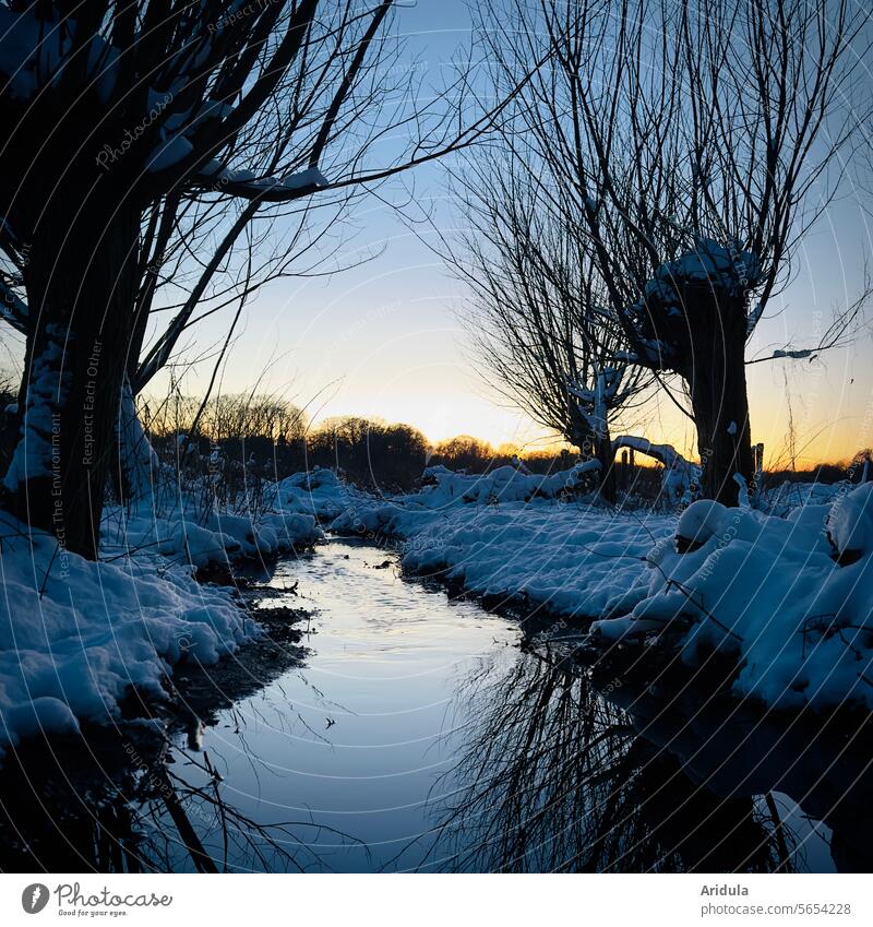 Winter landscape | Willows by a stream at sunset graze twigs Brook Water Sunset reflection Surface of water Water reflection Snow Calm silent Idyll Landscape