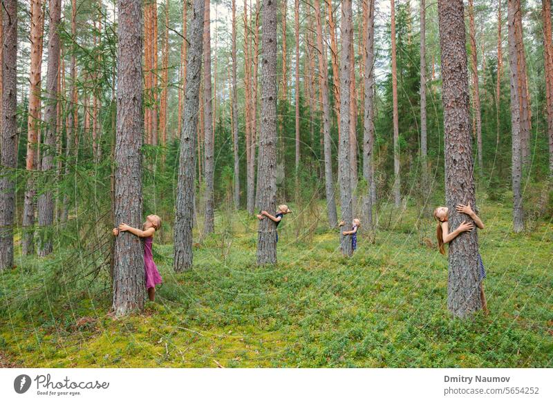 Girls of different age hugging pine trees looking up playing in a summer forest candid care child childhood children conservation ecology embracing environment