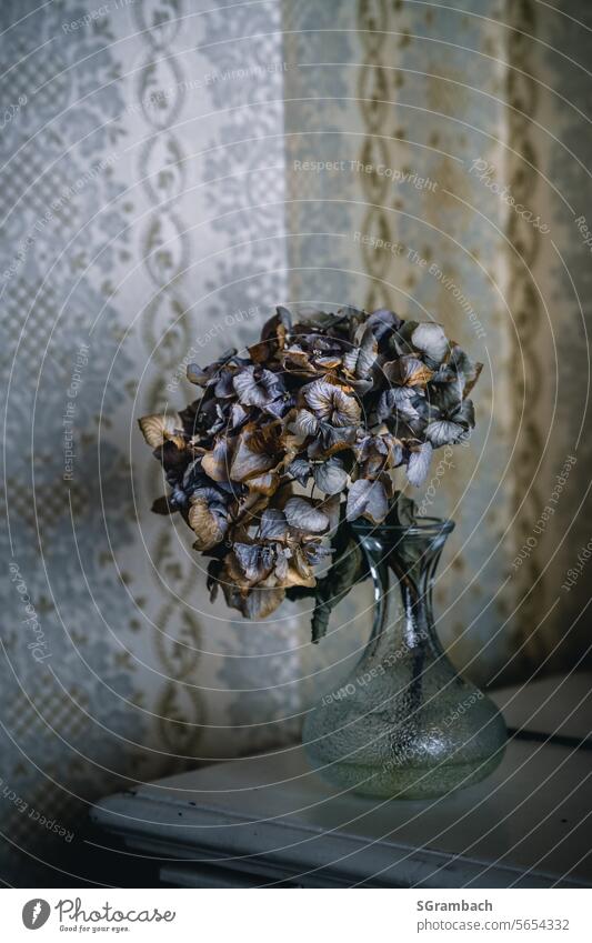 Forgotten, dry flower in vase in front of old 80s wallpaper Forget be forgotten Old Loneliness Transience Derelict Past Decline Deserted Colour photo