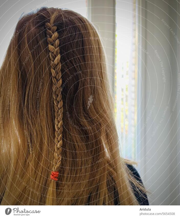 Back of the head with braided plait hair Braids Plaited hairstyle Blonde Child hairdressing Lichen Human being Hair and hairstyles Long-haired Elastic hairband