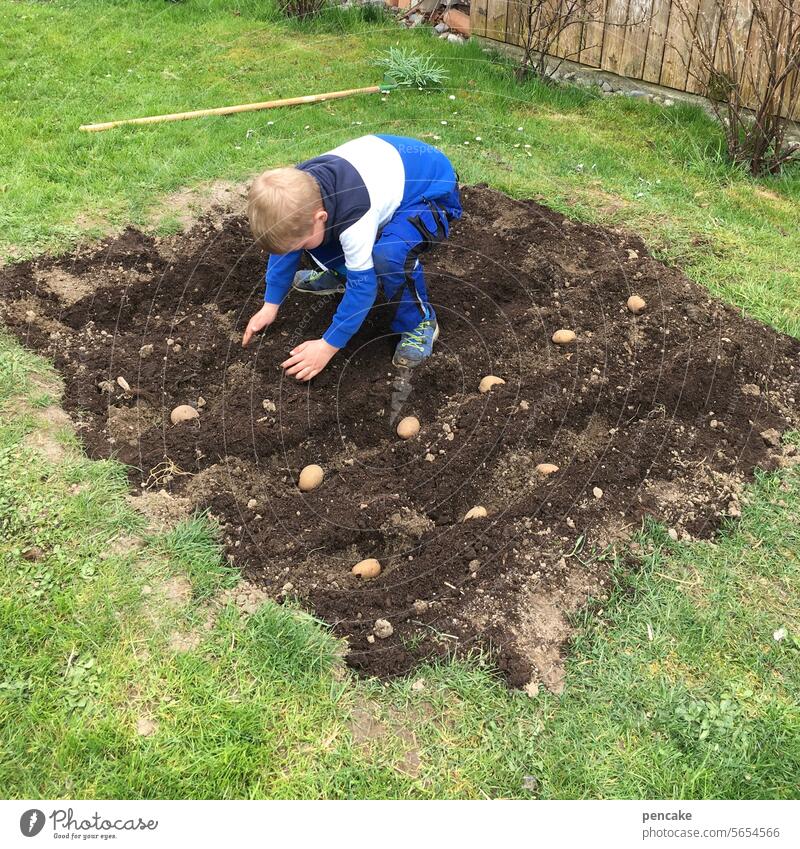 let's see what happens | to children and potatoes Child Boy (child) Garden Bed (Horticulture) grow Potatoes Future wax Gardening Growth Earth Vegetable