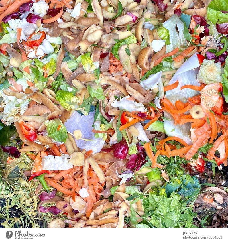 weg damit! | auf den kompost Kompost organisch Abfall Wiederverwertung Kreislauf Biotonne Erde Komposterde Nahrung Garten wachsen Gemüse Nährstoffe Dünger Leben