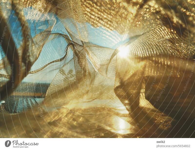 Viscose Artificial silk Net Translucent Glittering crease luminescent Sun semitransparent Detail Sunlight Structures and shapes Light Close-up Colour photo