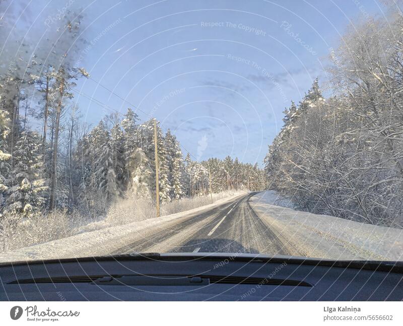 View through a car window, winter landscape point of view road trip Colour photo Car Window car windows trees Winter forest Frozen Snow nature outdoor plant