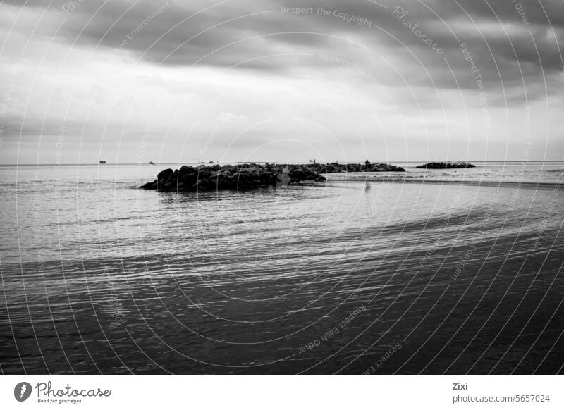 Small island Island Water Sky Nature #Black and white Black & white photo Winter