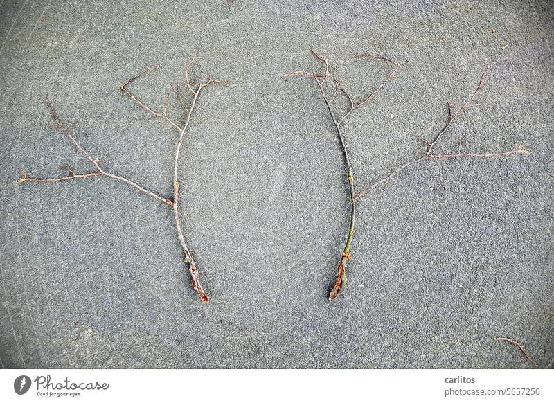 Deer antlers | veggie version Branch branching Deception Symmetry Structures and shapes optical illusion Double exposure Abstract Irritation Perspective